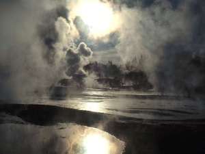 The Four Seasons 013