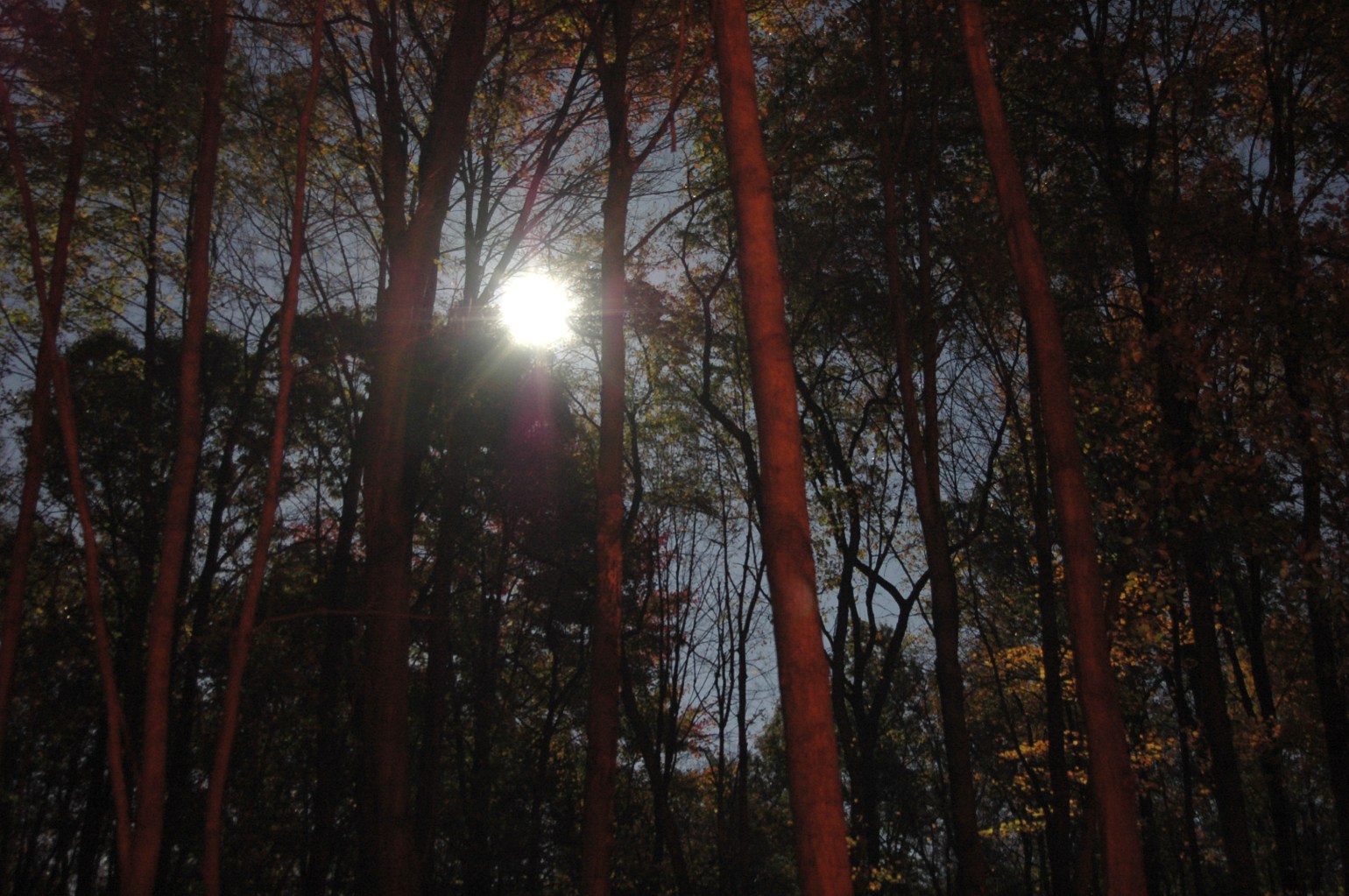 photo_21185_20111111