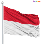 indonesiaflagpicture1