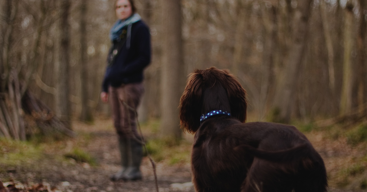 matt-aunger-198067-unsplash-web