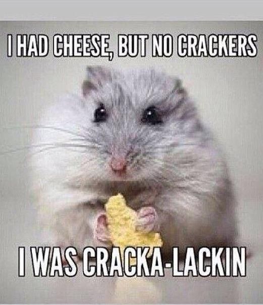 130b6f445181adac03ac5f2220a7e76a